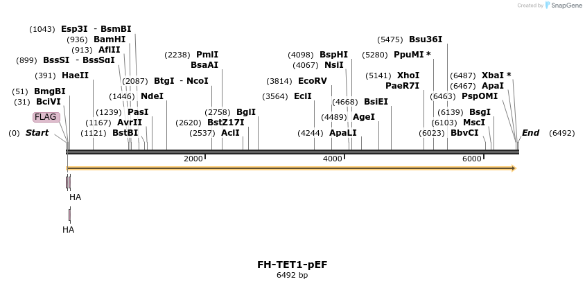 74272_map