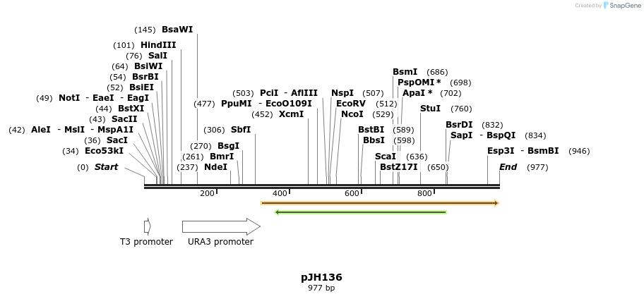 74302_map