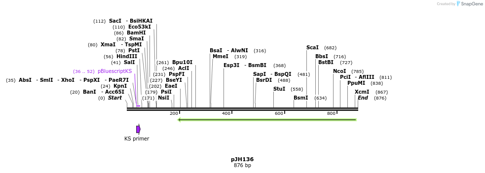 74304_map