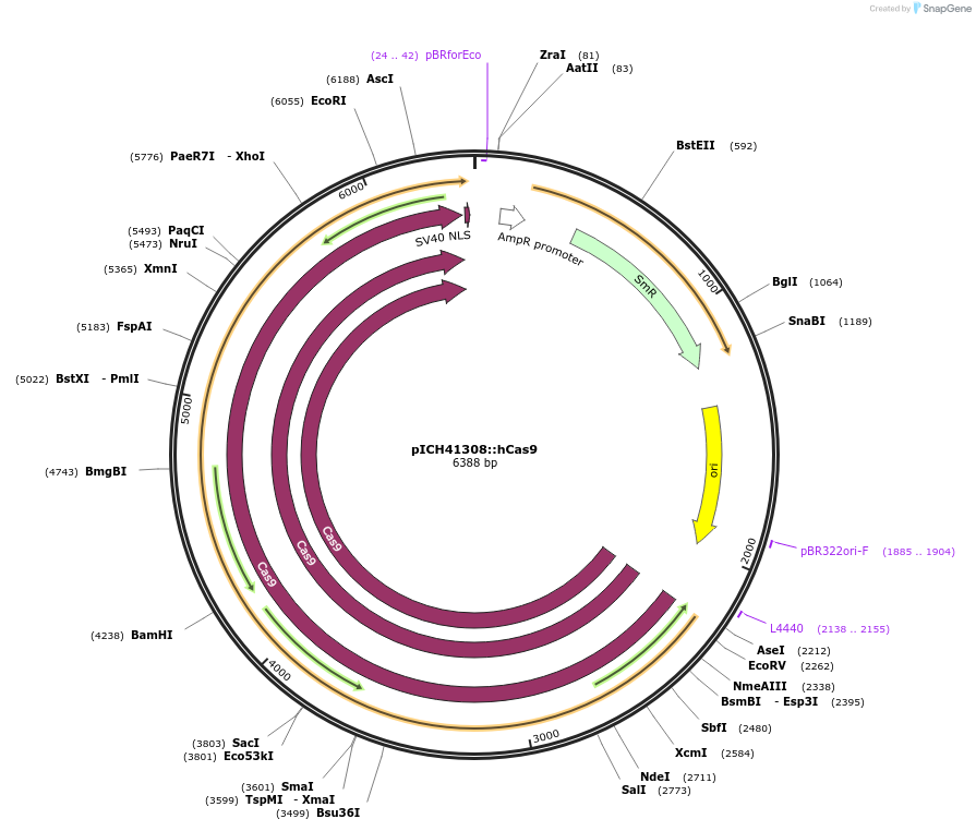 74307_map