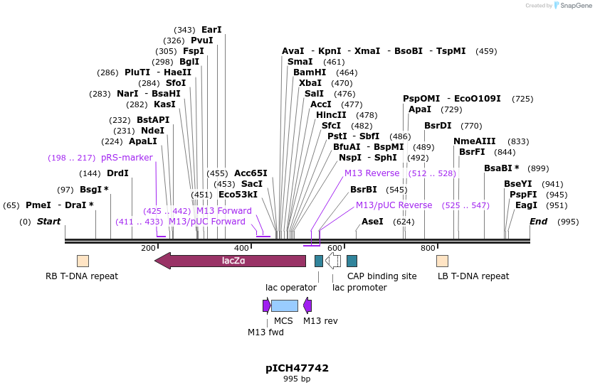 74311_map