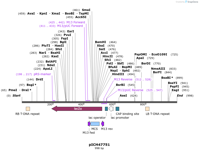 74313_map