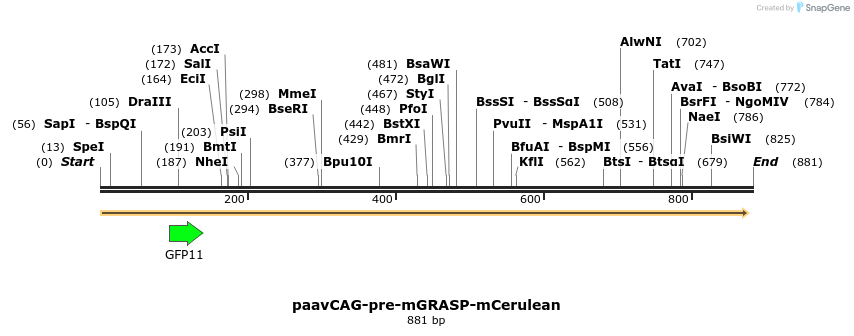 74317_map
