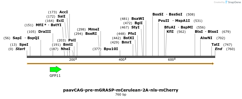 74318_map
