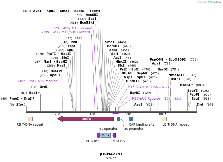 74319_map