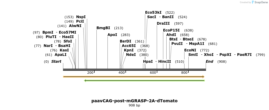 74320_map