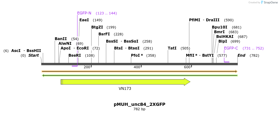 74328_map
