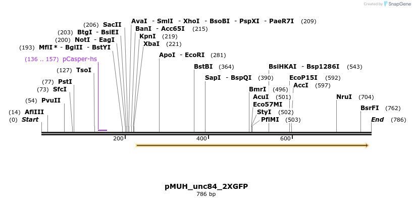 74330_map