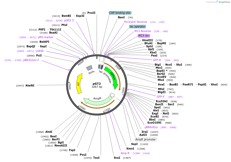 7434_map