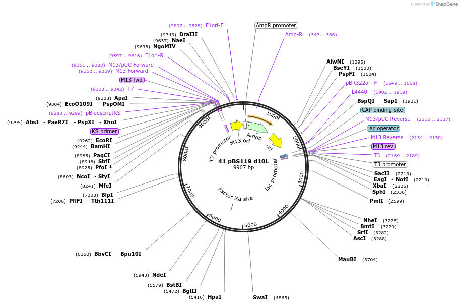 7437_map