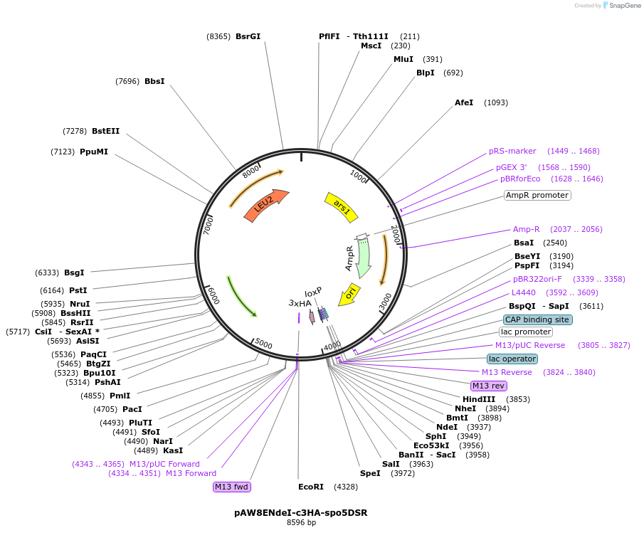 74370_map