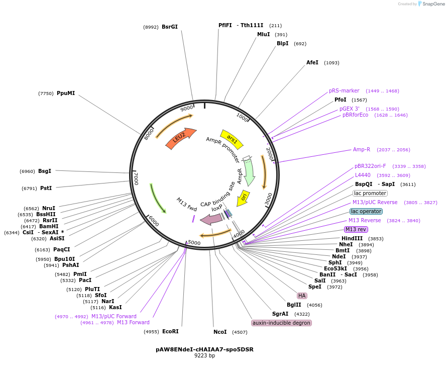 74371_map