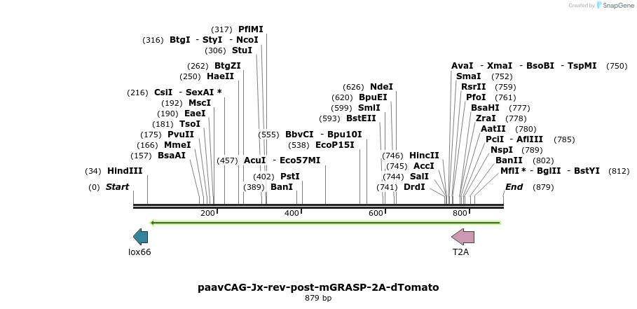 74372_map