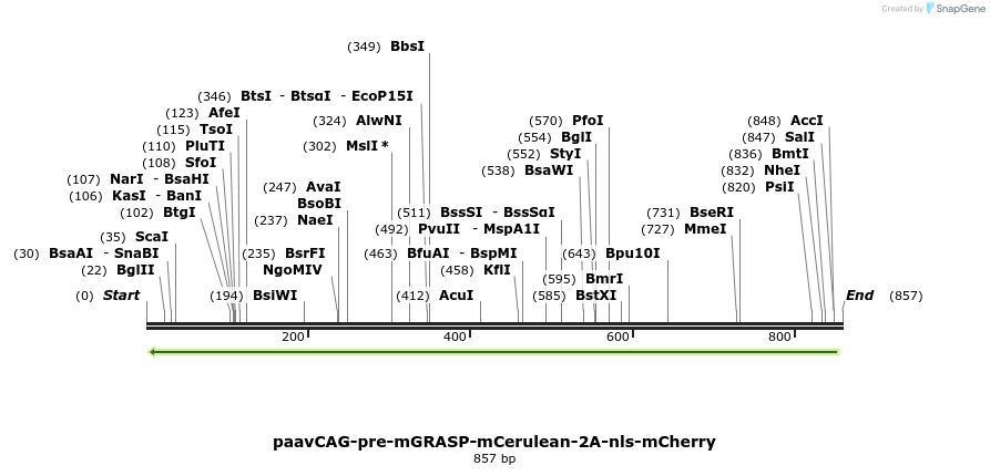 74377_map