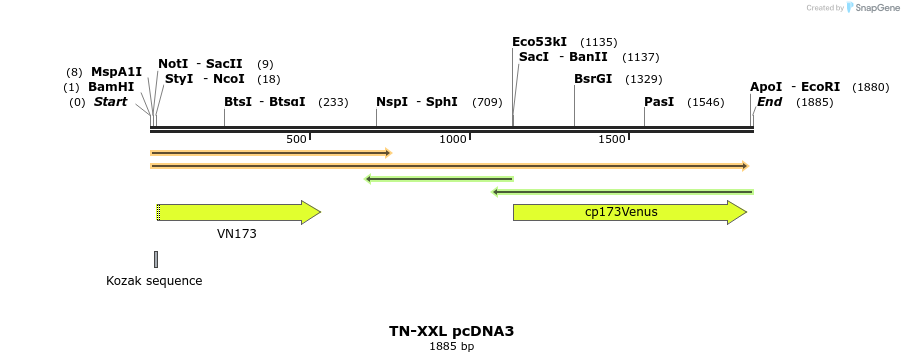 74385_map