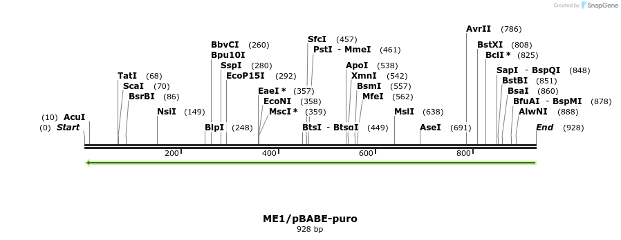 74387_map