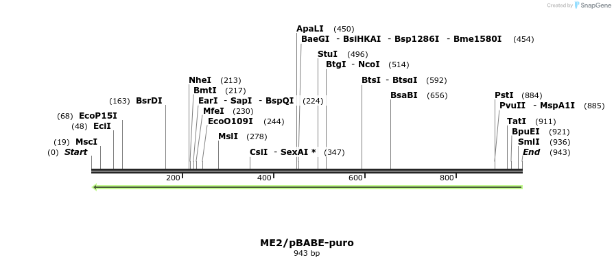 74388_map