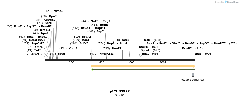 74399_map