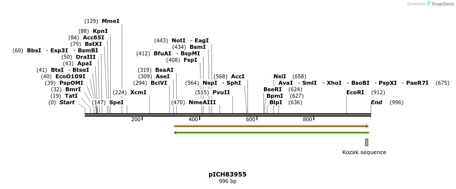 74404_map