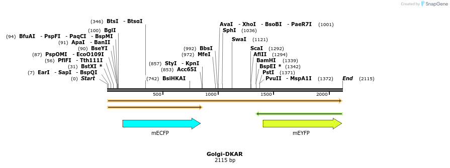 74407_map