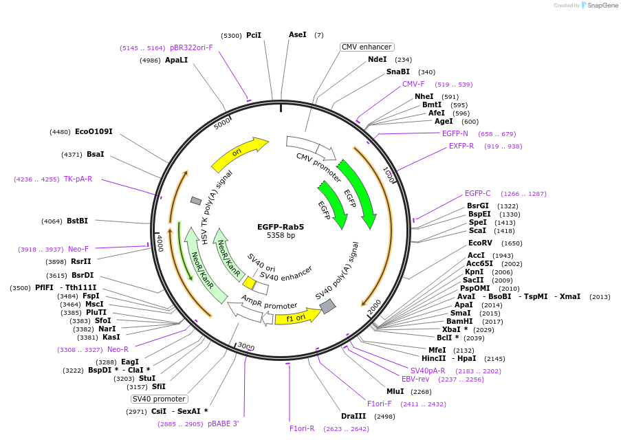 74411_map