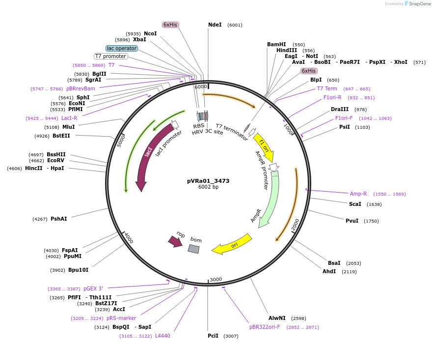 74421_map