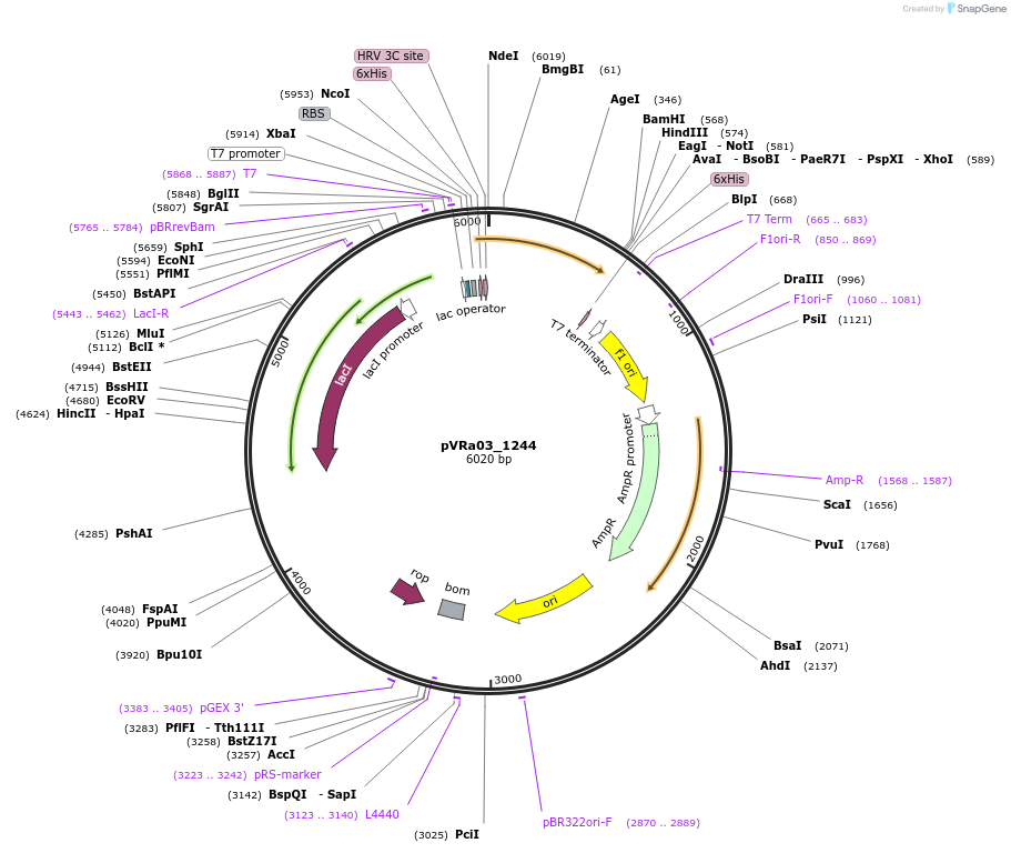 74425_map