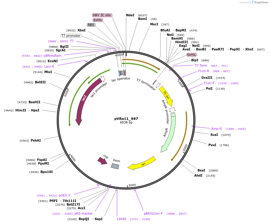 74431_map