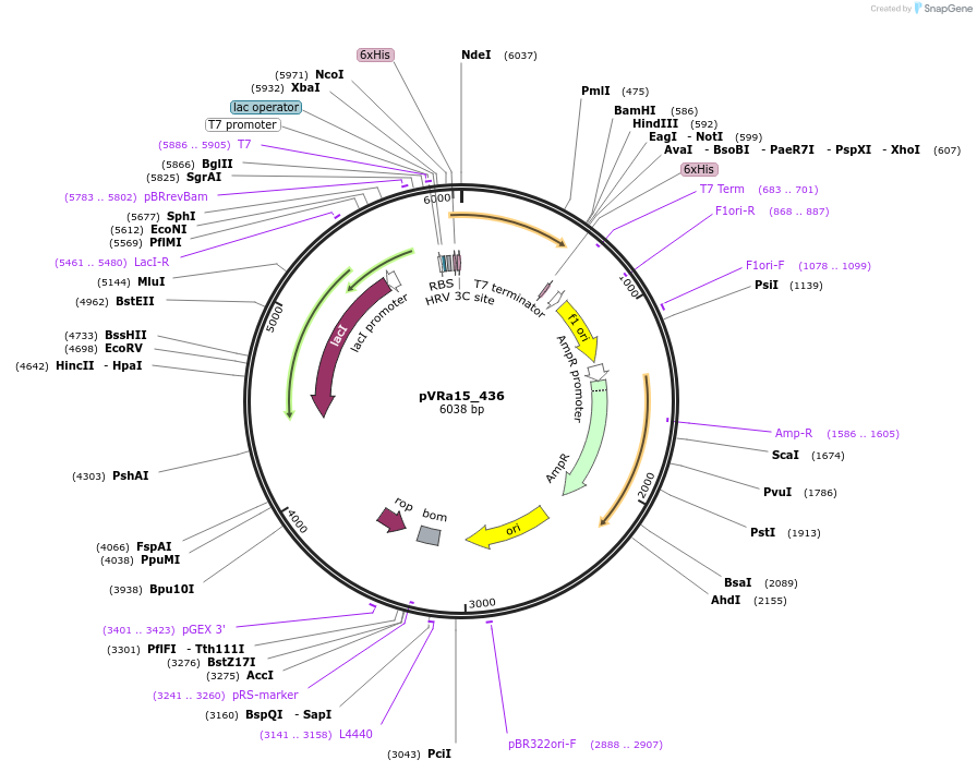 74440_map