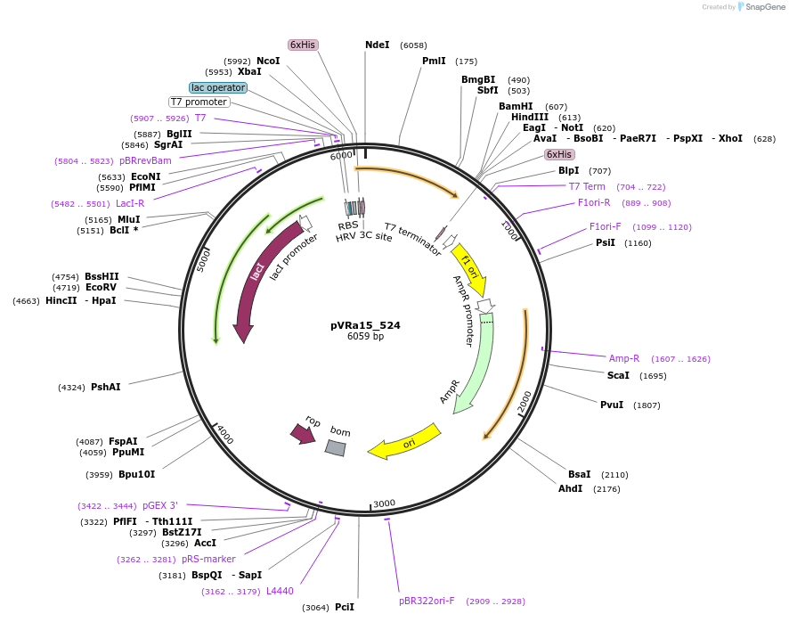 74441_map