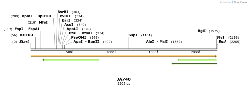 74445_map