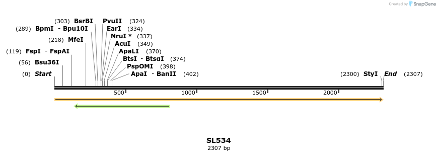 74446_map