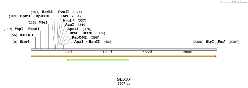 74461_map