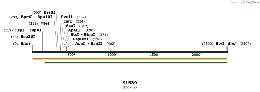 74467_map
