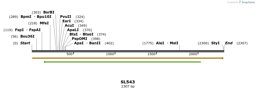 74478_map