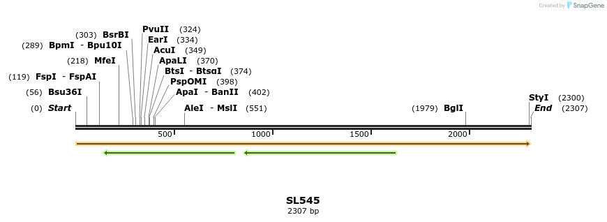 74480_map