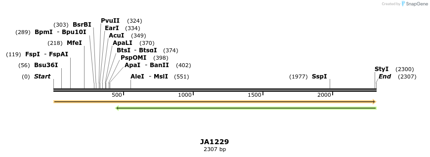 74486_map