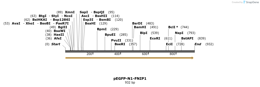 74490_map
