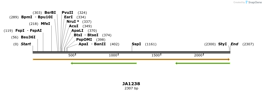 74497_map