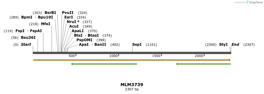 74500_map