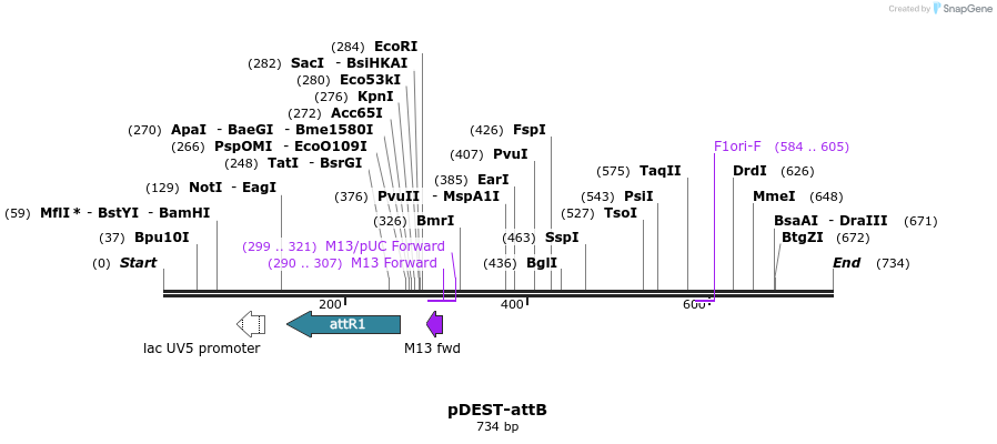 74512_map