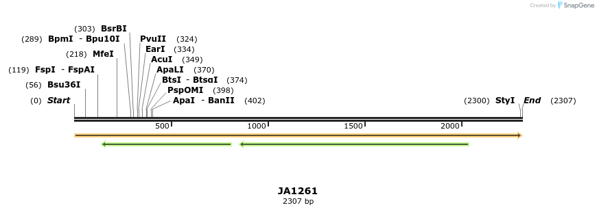 74528_map