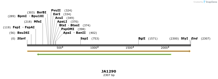 74533_map