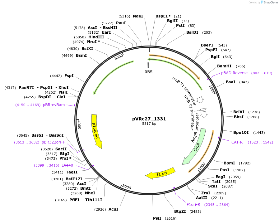 74551_map