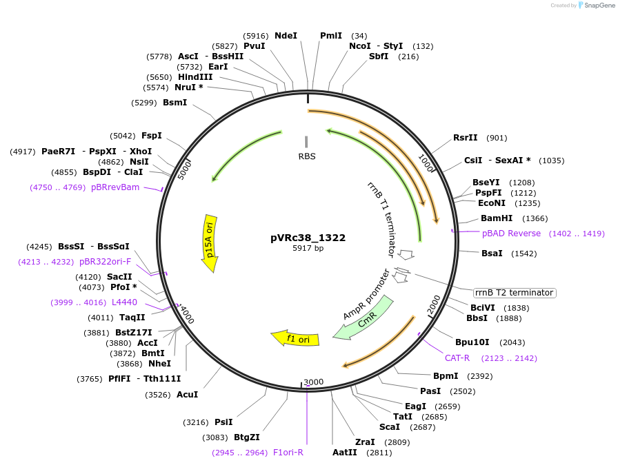 74559_map