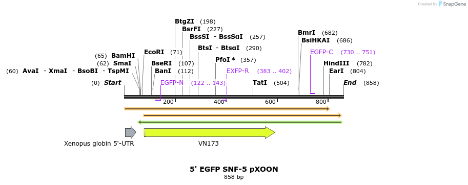 74562_map