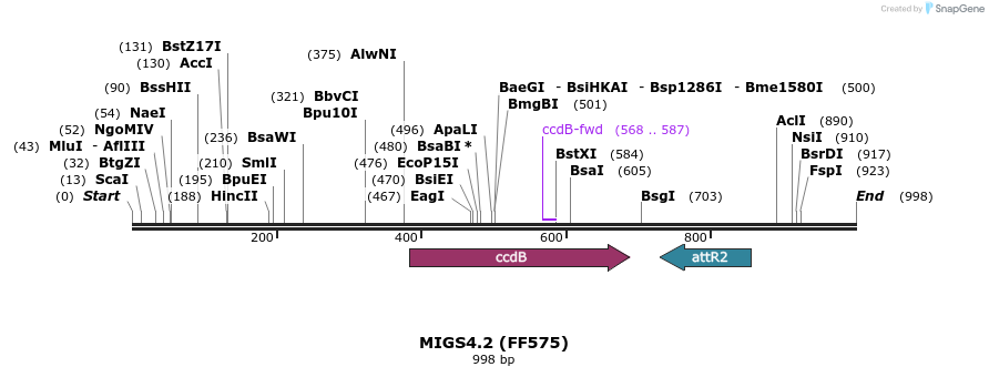 74569_map