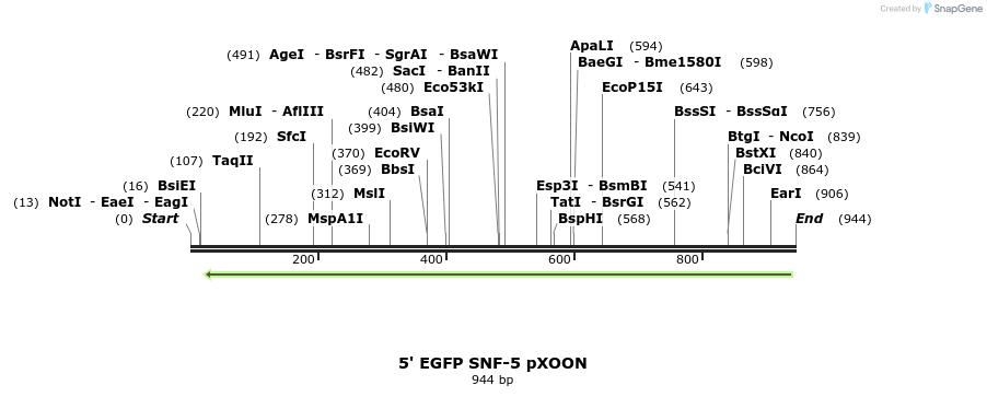 74573_map