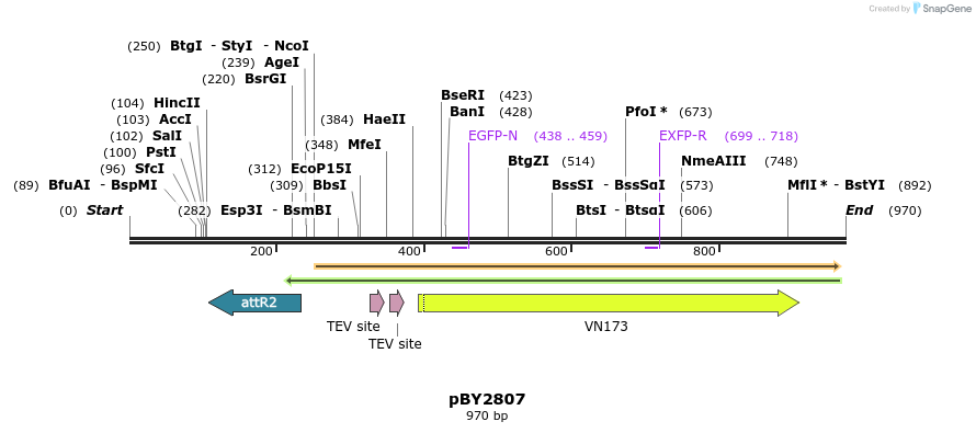 74576_map