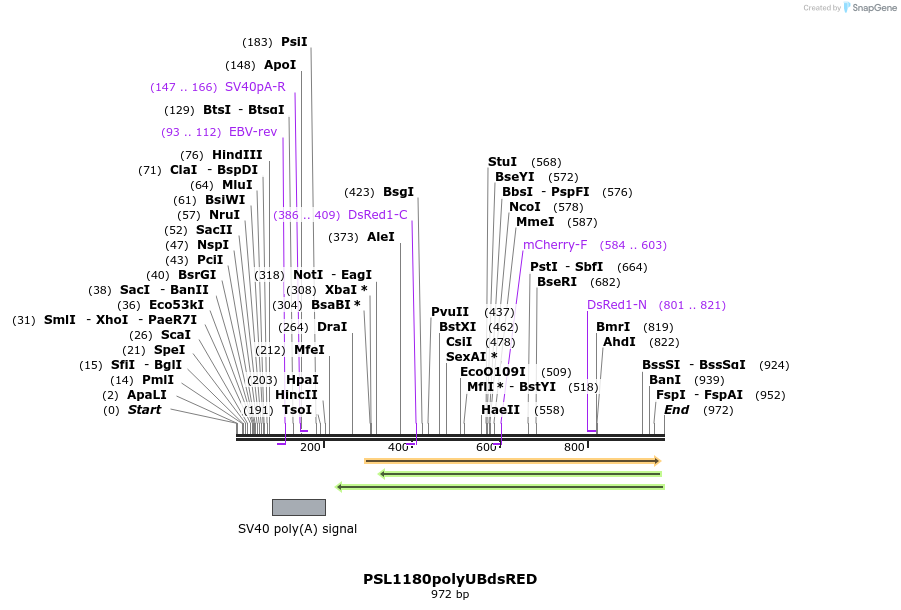 74590_map